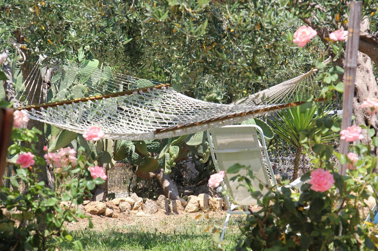Uliveto House Bed & Breakfast Castellammare del Golfo Bagian luar foto