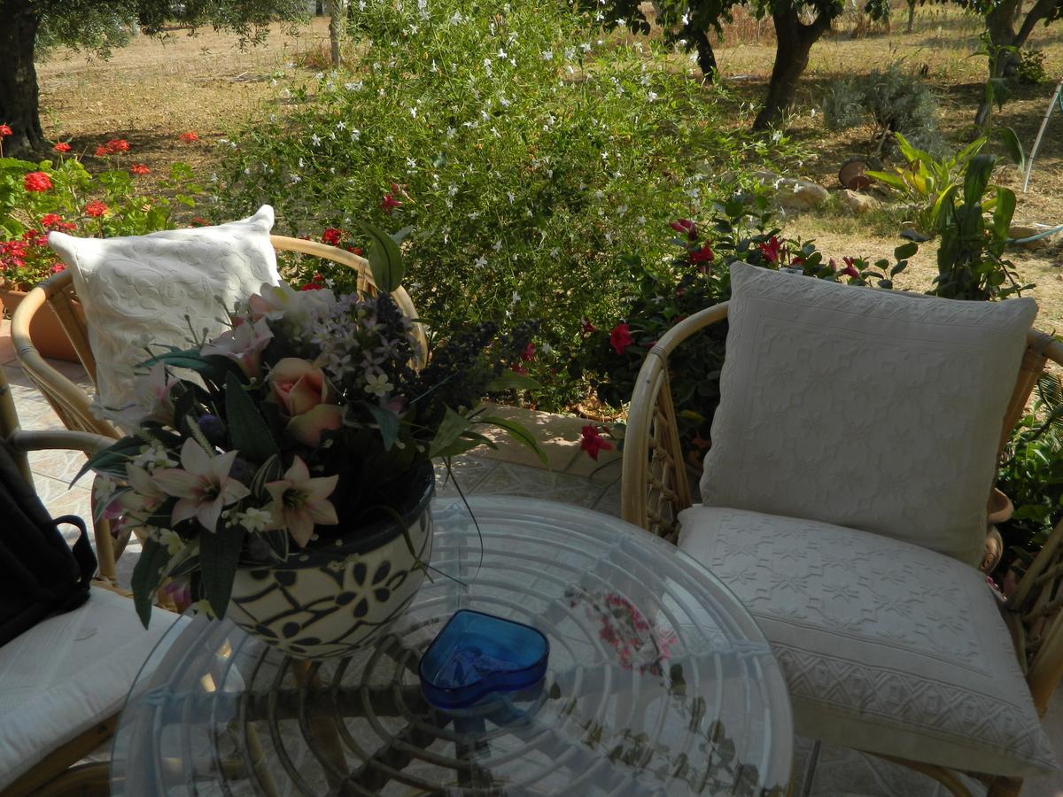Uliveto House Bed & Breakfast Castellammare del Golfo Bagian luar foto