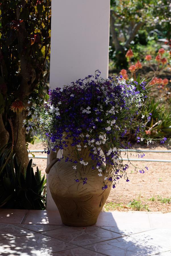 Uliveto House Bed & Breakfast Castellammare del Golfo Bagian luar foto