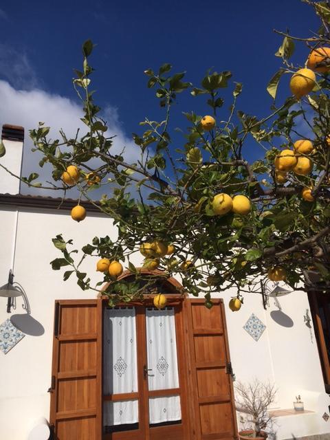Uliveto House Bed & Breakfast Castellammare del Golfo Bagian luar foto